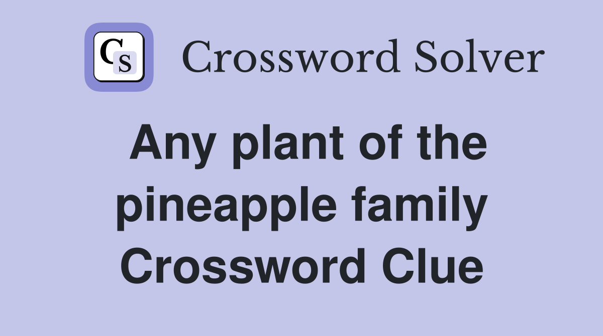 Any plant of the pineapple family Crossword Clue Answers Crossword